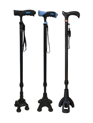 walking stick